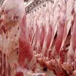 Viandes rouges : Le plan de l’État pour briser les prix et garantir la disponibilité avant Aïd al-Adha