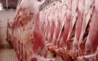 Pourquoi la viande est chère en Algérie ? Le ministre répond
