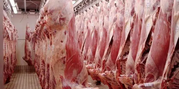 Pourquoi la viande est chère en Algérie ? Le ministre répond