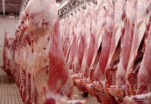 Pourquoi la viande est chère en Algérie ? Le ministre répond