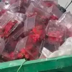 Ils jettent des produits frais pour ne pas baisser les prix… Himayatec s’indigne