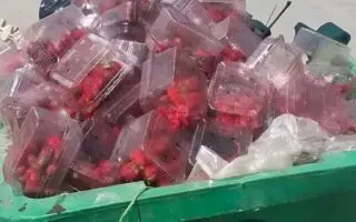 Ils jettent des produits frais pour ne pas baisser les prix… Himayatec s’indigne