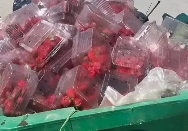 Ils jettent des produits frais pour ne pas baisser les prix… Himayatec s’indigne