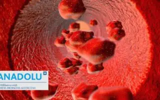 Anémie méditerranéenne (thalassémie) : décryptage d’une maladie du sang