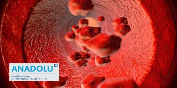 Anémie méditerranéenne (thalassémie) : décryptage d&rsquo;une maladie du sang