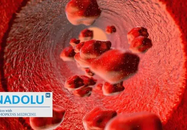 Anémie méditerranéenne (thalassémie) : décryptage d&rsquo;une maladie du sang