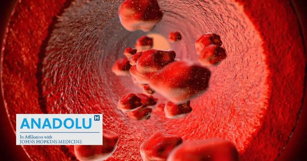 Anémie méditerranéenne (thalassémie) : décryptage d&rsquo;une maladie du sang