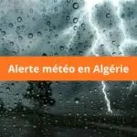 BMS – Vigilance orange : fortes pluies attendues dans plusieurs wilayas, voici les régions concernées