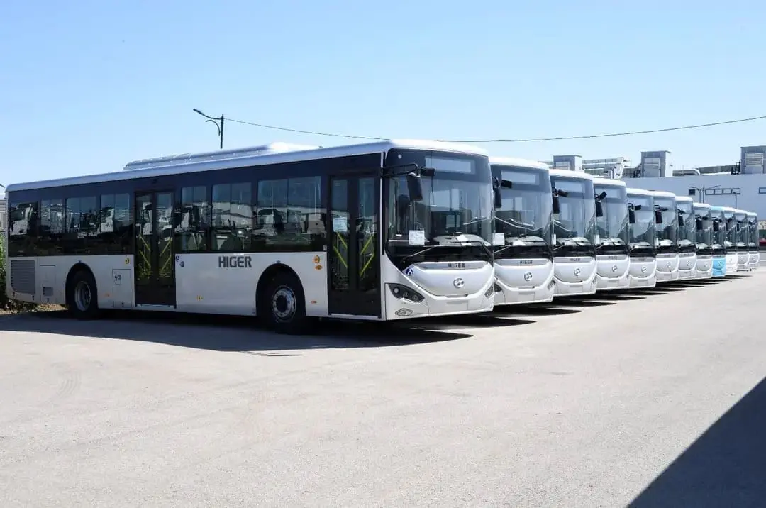 Alger renforce son réseau de bus avec 57 nouvelles lignes