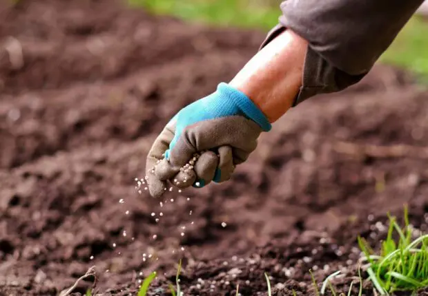 Marchés sous pression : après l’énergie, les engrais algériens suscitent l’intérêt