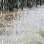 BMS – Météo Algérie : jusqu’à 70 mm de pluie ce lundi 13 avril, ces wilayas en alerte