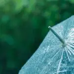 Météo Algérie : accalmie ce vendredi 3 avril, mais des pluies orageuses persistent dans ces régions