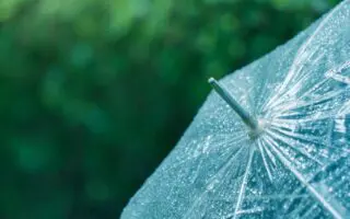 Météo Algérie : accalmie ce vendredi 3 avril, mais des pluies orageuses persistent dans ces régions