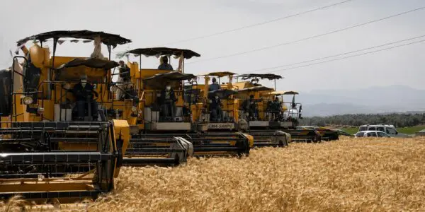 Moisson 2025 – 2026 : AgroDrive déploie un dispositif massif pour soutenir les agriculteurs algériens