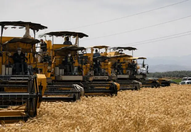Moisson 2025 – 2026 : AgroDrive déploie un dispositif massif pour soutenir les agriculteurs algériens