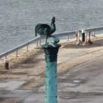 Exclu de la loi sur les restitutions: le canon Baba Merzoug au cœur d&rsquo;une nouvelle proposition en France