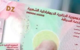 Conversion du permis de conduire en Italie : nouvelle procédure simplifiée pour les Algériens