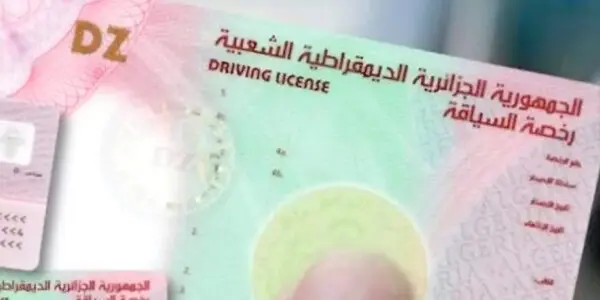 Conversion du permis de conduire en Italie : nouvelle procédure simplifiée pour les Algériens