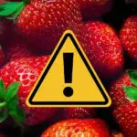 Vente de fraises sur le marché algérien : faites attention à cette pratique avant d’acheter