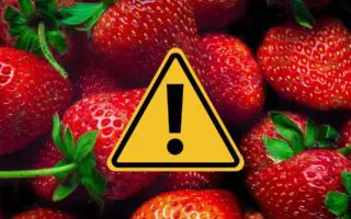 Vente de fraises sur le marché algérien : faites attention à cette pratique avant d’acheter