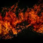 « On a entendu les enfants crier » : à Toulouse, deux sans-papiers algériens sauvent une famille du feu