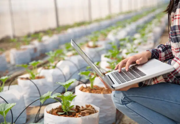 Comment le numérique redéfinit l’agriculture moderne et les métiers de l’élevage
