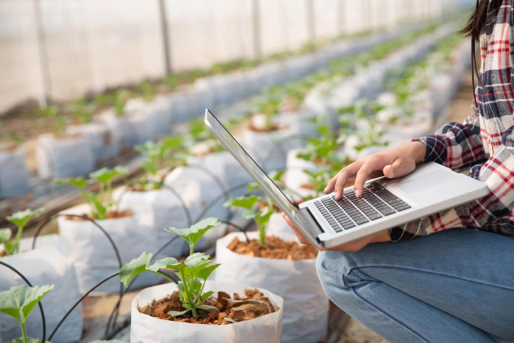 Comment le numérique redéfinit l’agriculture moderne et les métiers de l’élevage