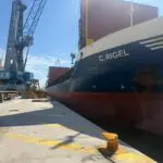 L&rsquo;Algérie exporte 2000 T de grignons d&rsquo;olive vers l&rsquo;Italie: quels usages industriels pour ce résidu convoité ?