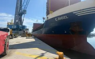 L’Algérie exporte 2000 T de grignons d’olive vers l’Italie: quels usages industriels pour ce résidu convoité ?
