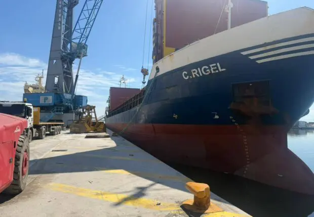 L&rsquo;Algérie exporte 2000 T de grignons d&rsquo;olive vers l&rsquo;Italie: quels usages industriels pour ce résidu convoité ?