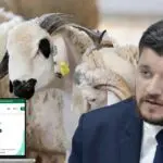 Moutons importés : Le ministre annonce du nouveau pour « Adhahi.dz »