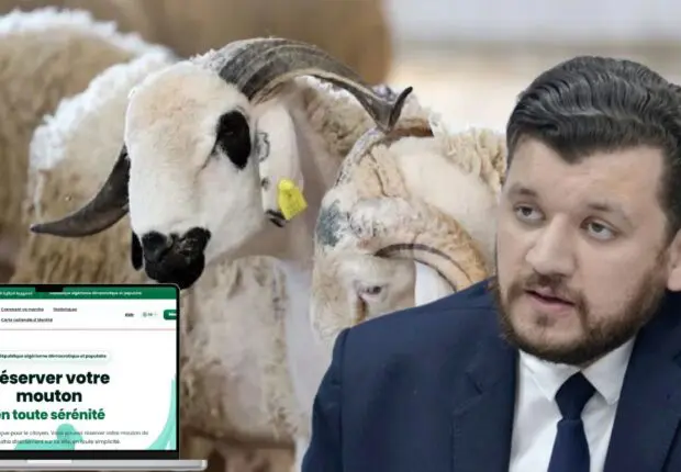 Moutons importés : Le ministre annonce du nouveau pour « Adhahi.dz »