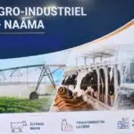 3 500 T de viande rouge, 30 M de litres de lait : Un méga-projet turc s&rsquo;installe dans cette wilaya
