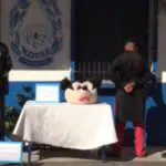 Masqué en « Mickey Mouse » : La police d&rsquo;Annaba met fin au plan d&rsquo;un voleur pour le moins… original !