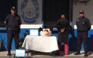 Masqué en « Mickey Mouse » : La police d’Annaba met fin au plan d’un voleur pour le moins… original !