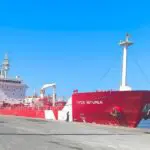 Port de Ghazaouet : Près de 37 000 tonnes de ces produits exportés durant les jours de l&rsquo;Aïd