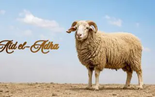 Aïd el-Adha 2026 en Algérie : quelles sont les prévisions météo de ce mercredi 27 mai ?