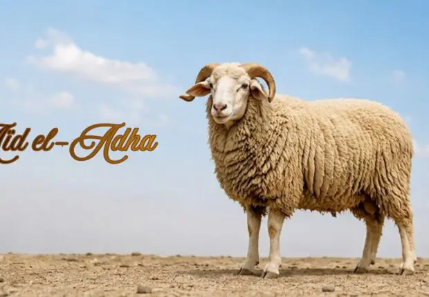 Aïd el-Adha 2026 en Algérie : quelles sont les prévisions météo de ce mercredi 27 mai ?