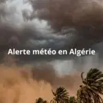 Vents, orages et tempêtes de sable attendus ce jeudi 21 mai : les wilayas placées en alerte météo