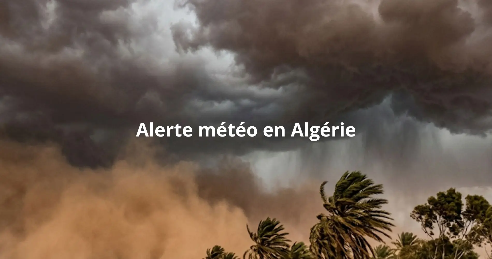 Vents, orages et tempêtes de sable attendus ce jeudi 21 mai : les wilayas placées en alerte météo