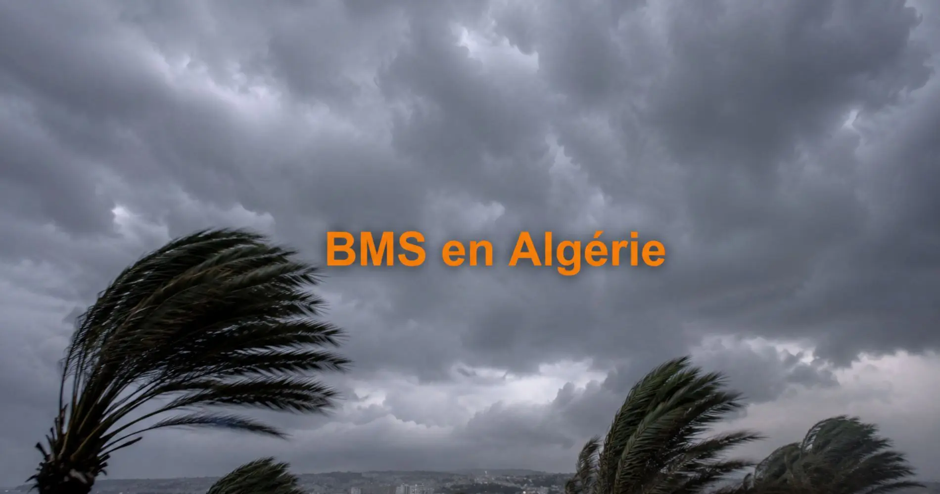 Alerte météo en Algérie : vents violents et vigilance orange ce week-end, plusieurs wilayas sous BMS