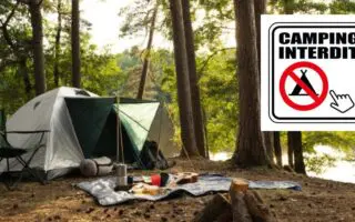 Jusqu’à 6 mois de prison : l’Algérie interdit l’accès aux forêts cet été