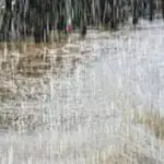 Vigilance météo en Algérie : pluies orageuses et vents violents au programme ce jeudi 7 mai