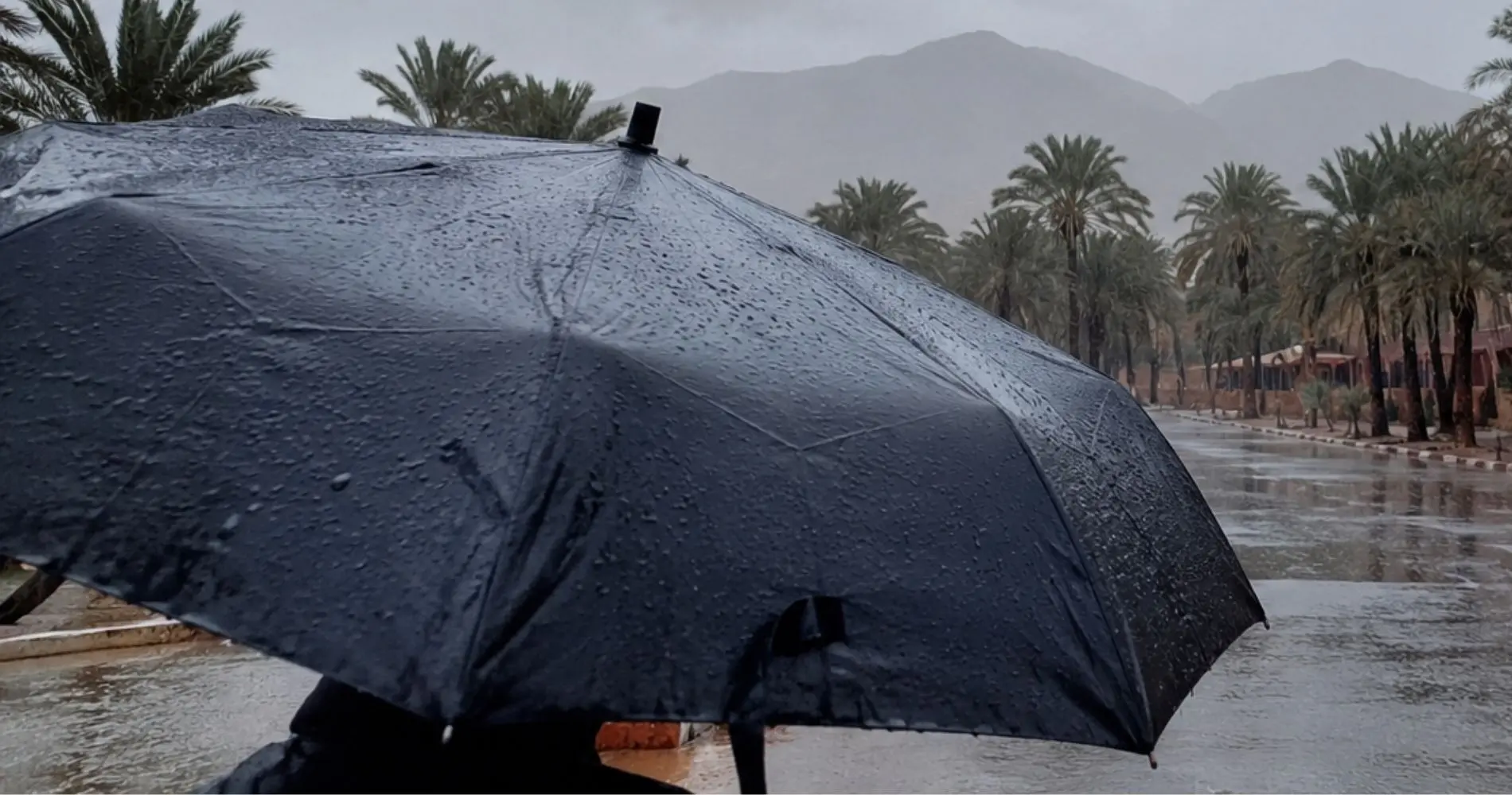 Alerte Météo Algérie : fortes pluies, vents violents et tempêtes de sable, plusieurs wilayas sous alerte
