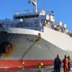 Aïd el-Adha 2026 : arrivée de plus de 13 000 moutons importés au port de Skikda