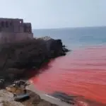 Mystérieuse eau rouge au large d&rsquo;Alger : où en est l&rsquo;enquête sur la plage du Cimetière Aïn Benian ?