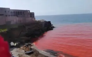 Mystérieuse eau rouge au large d&rsquo;Alger : où en est l&rsquo;enquête sur la plage du Cimetière Aïn Benian ?
