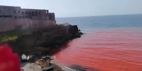 Mystérieuse eau rouge au large d&rsquo;Alger : où en est l&rsquo;enquête sur la plage du Cimetière Aïn Benian ?