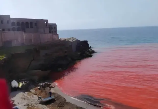 Mystérieuse eau rouge au large d’Alger : où en est l’enquête sur la plage du Cimetière Aïn Benian ?