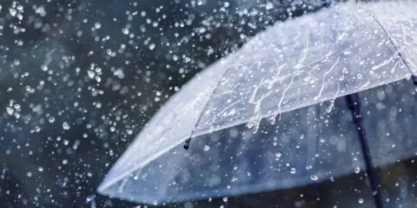 ALERTE MÉTÉO : Fortes pluies attendues ce lundi sur 25 wilayas